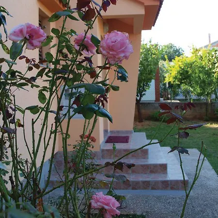 Studio Izabela Vodice