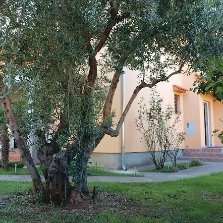 Studio Izabela Vodice