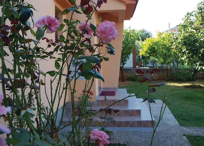 Izabela Βόντιτσε