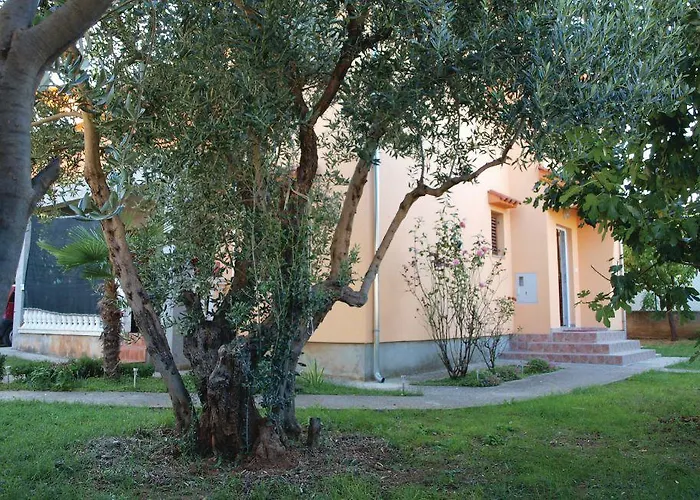 Izabela Βόντιτσε